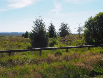 Signal de Botrange (Belgium)